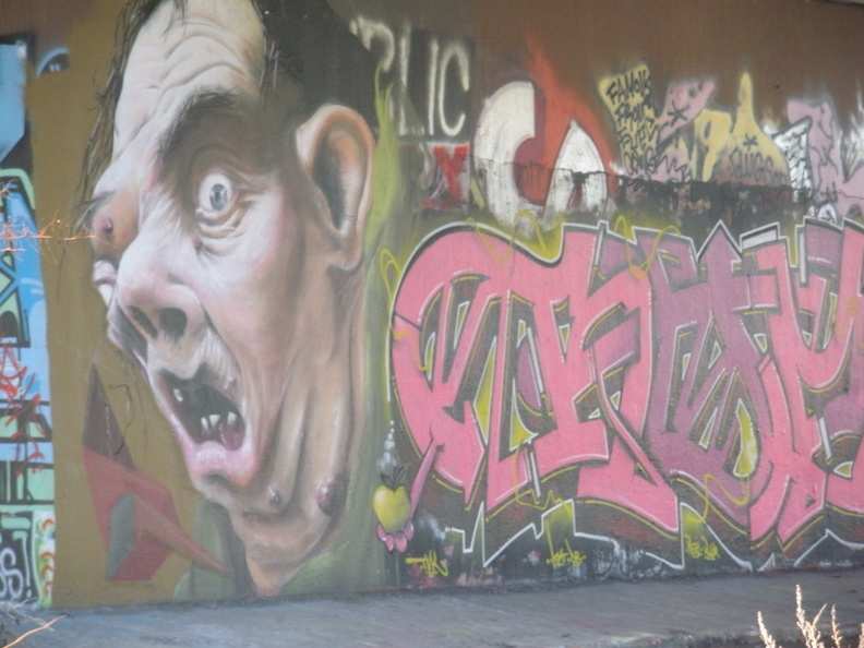 DSCN2274